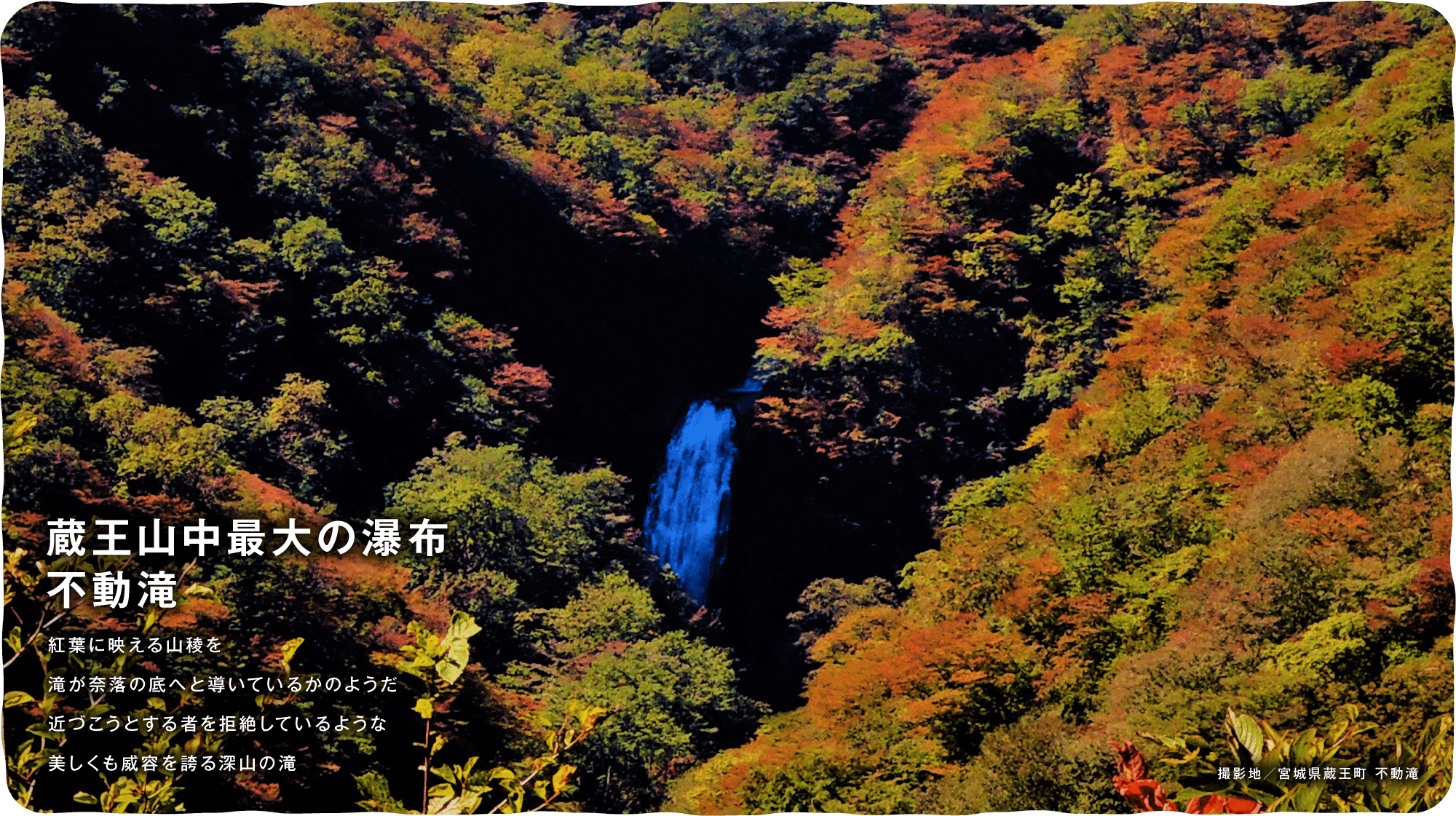 蔵王山中最大の瀑布不動滝　紅葉に映える山稜を滝が奈落の底へと導いているかのようだ近づこうとする者を拒絶しているような美しくも威容を誇る深山の滝