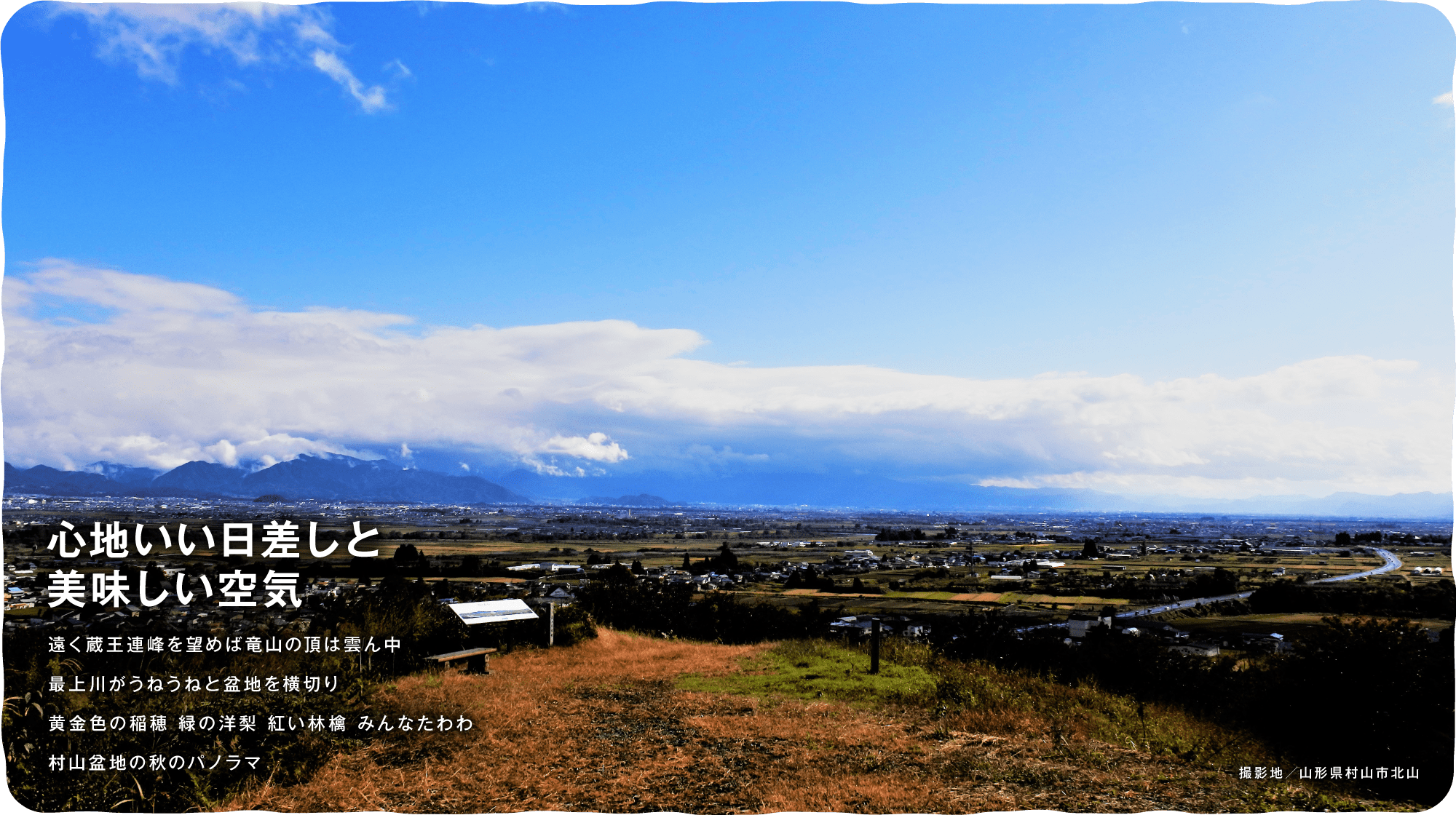 心地いい日差しと美味しい空気 遠く蔵王連峰を望めば竜山の頂は雲ん中最上川がうねうねと盆地を横切り黄金色の稲穂 緑の洋梨 紅い林檎 みんなたわわ村山盆地の秋のパノラマ