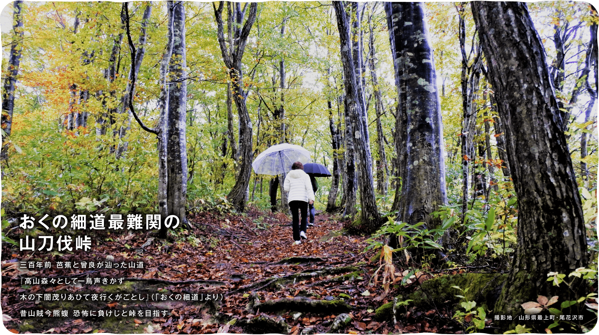 おくの細道最難関の山刀伐峠 三百年前 芭蕉と曾良が辿った山道『高山森々として一鳥声きかず木の下闇茂りあひて夜行くがごとし』（「おくの細道」より）昔山賊今熊蝮 恐怖に負けじと峠を目指す