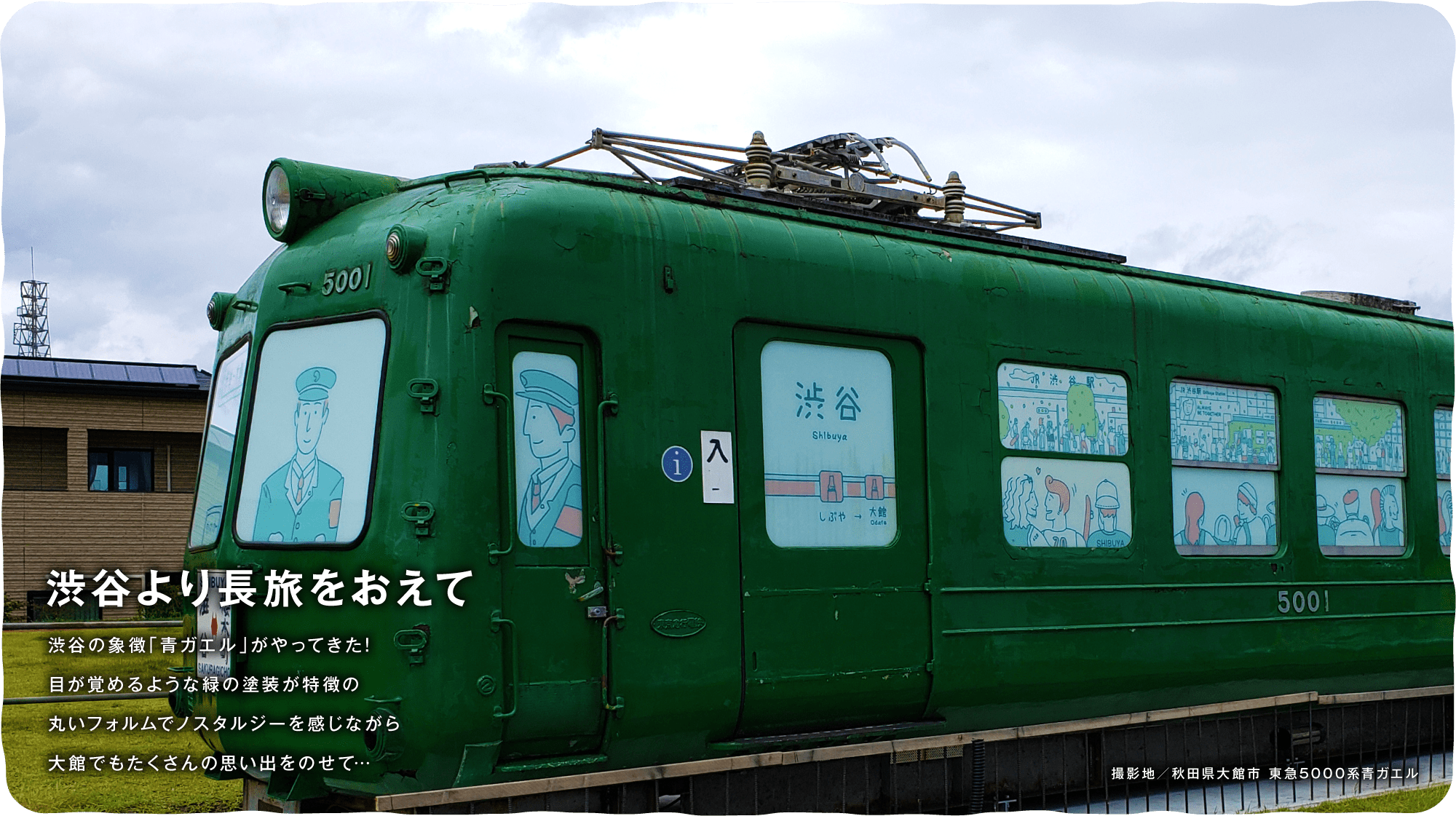 渋谷より長旅をおえて　渋谷の象徴「青ガエル」がやってきた!目が覚めるような緑の塗装が特徴の丸いフォルムでノスタルジーを感じながら大館でもたくさんの思い出をのせて…